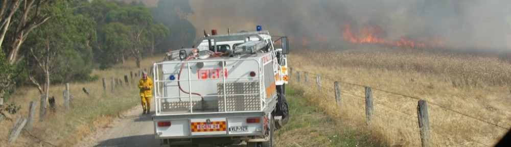 Sturt CFS Group