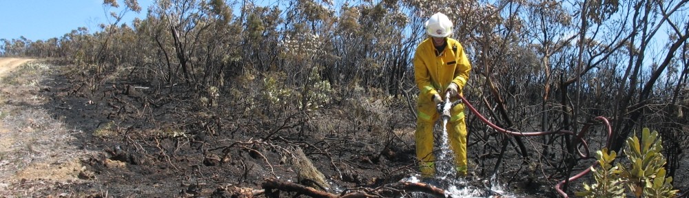 Sturt CFS Group